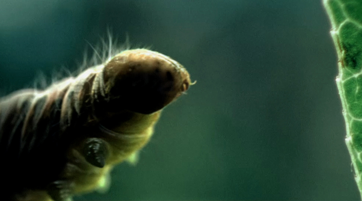 AMF Caterpillar commercial still
